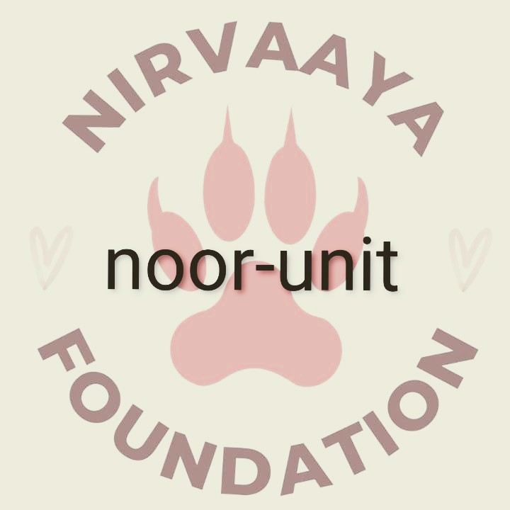 Noor Unit